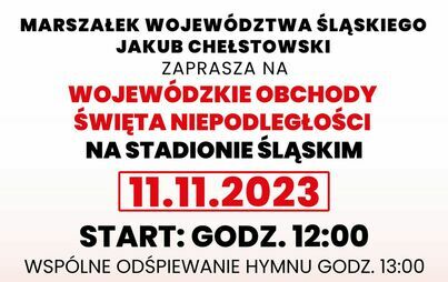Zdjęcie do Wojew&oacute;dzkie Obchody Święta Niepodległości