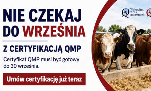 zdjęcie dotyczące certyfikacji QMP