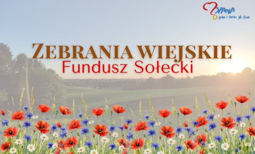 Grafika z napisem Zebrania Wiejskie, Fundusz Sołecki. W tle polne kwiaty