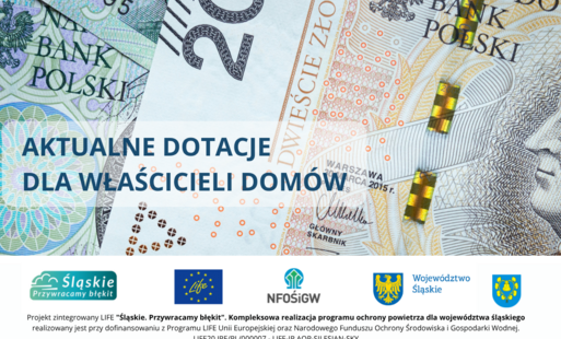 napis aktualne dotacje z pieniędzmi w tle